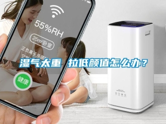 常見問題濕氣太重 拉低顏值怎么辦？