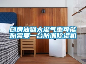 企業(yè)新聞廚房油煙大濕氣重可能你需要一臺(tái)防潮除濕機(jī)