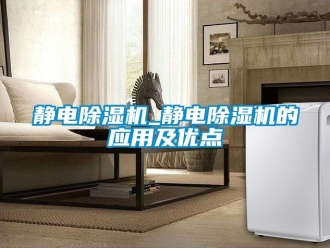 行業(yè)新聞靜電除濕機_靜電除濕機的應用及優(yōu)點