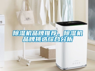 企業新聞除濕機品牌推薦，除濕機品牌挑選綜合分析