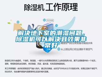 常見問題解決地下室的潮濕問題，除濕機可以解決且效果非常好