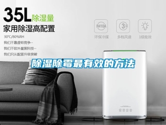 企業(yè)新聞除濕除霉最有效的方法