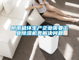 常見問題陰雨破壞生產企業需要工業除濕機類解決問題
