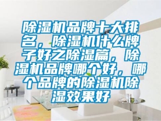 企業新聞除濕機品牌十大排名，除濕機什么牌子好之除濕篇，除濕機品牌哪個好，哪個品牌的除濕機除濕效果好