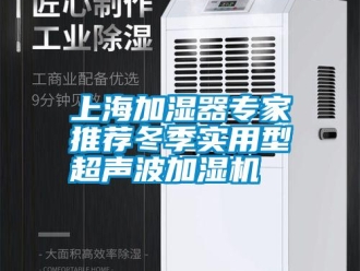 知識百科上海加濕器專家推薦冬季實用型超聲波加濕機