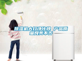 企業(yè)新聞除濕機(jī)大打凈化牌 產(chǎn)品質(zhì)量良莠不齊