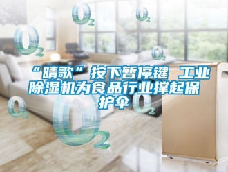 常見問題“晴歌”按下暫停鍵 工業除濕機為食品行業撐起保護傘