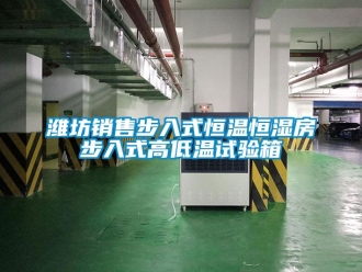 知識百科濰坊銷售步入式恒溫恒濕房步入式高低溫試驗箱