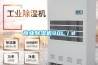 商業除濕機90L／d
