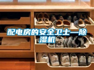 行業(yè)新聞配電房的安全衛(wèi)士—除濕機(jī)