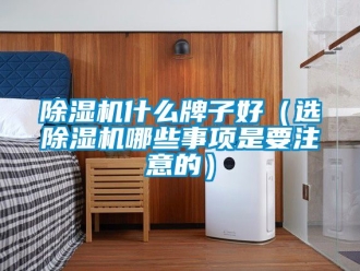 行業新聞除濕機什么牌子好（選除濕機哪些事項是要注意的）