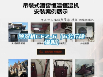 企業新聞除濕機CFZ-6（6公斤除濕機）