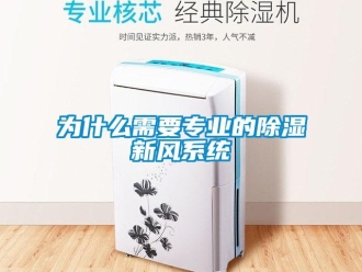 知識百科為什么需要專業的除濕新風系統
