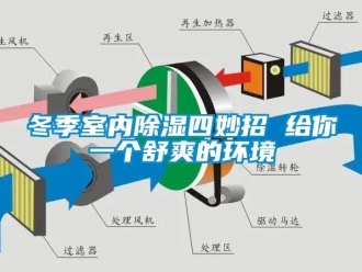 企業新聞冬季室內除濕四妙招 給你一個舒爽的環境