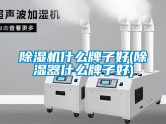 行業新聞除濕機什么牌子好(除濕器什么牌子好)