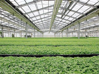 常見問題除濕器如何解決高濕度、多種危害的溫室除濕問題？