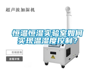 知識百科恒溫恒濕實驗室如何實現溫濕度控制？