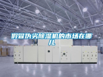 行業(yè)新聞假冒偽劣除濕機(jī)的市場(chǎng)在哪兒