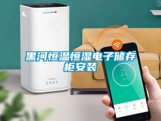 知識(shí)百科黑河恒溫恒濕電子儲(chǔ)存柜安裝