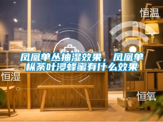 企業新聞鳳凰單叢抽濕效果，鳳凰單樅荼葉浸蜂蜜有什么效果