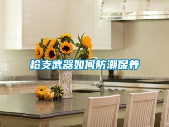 常見問題槍支武器如何防潮保養