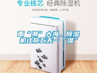 行業(yè)新聞面“潮”大海，除濕機(jī)讓你萬(wàn)無(wú)一“濕”