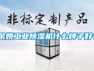 常見問題余姚工業除濕機什么牌子好？