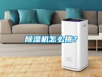 行業(yè)新聞除濕機(jī)怎么挑？
