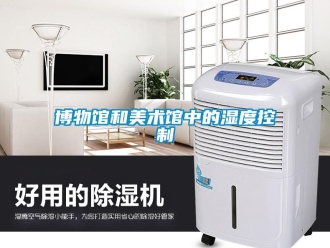 常見問題博物館和美術館中的濕度控制