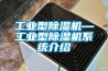 工業(yè)型除濕機—工業(yè)型除濕機系統(tǒng)介紹