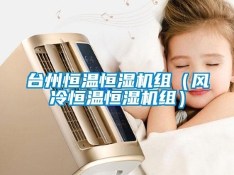 知識百科臺州恒溫恒濕機組（風冷恒溫恒濕機組）