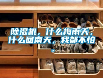 企業新聞除濕機，什么梅雨天，什么回南天，我都不怕。