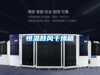 知識百科恒溫鼓風干燥箱