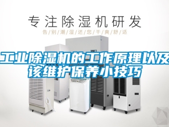 常見問題工業(yè)除濕機(jī)的工作原理以及該維護(hù)保養(yǎng)小技巧