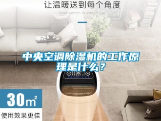 行業新聞中央空調除濕機的工作原理是什么？