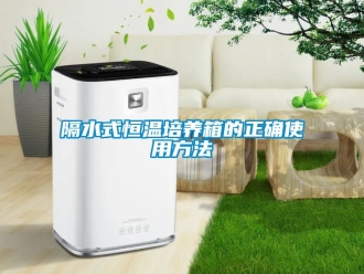 知識百科隔水式恒溫培養(yǎng)箱的正確使用方法