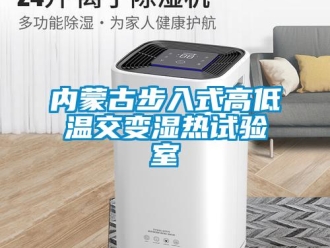 常見問題內蒙古步入式高低溫交變濕熱試驗室