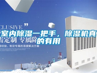 知識百科室內除濕一把手，除濕機真的有用