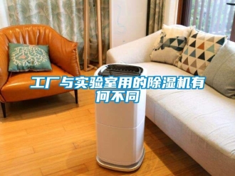 企業新聞工廠與實驗室用的除濕機有何不同