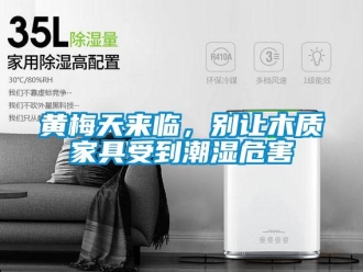 行業新聞黃梅天來臨，別讓木質家具受到潮濕危害