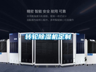 知識百科轉(zhuǎn)輪除濕機(jī)定制