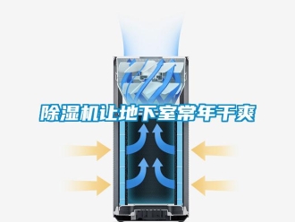 企業新聞除濕機讓地下室常年干爽