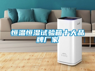 知識百科恒溫恒濕試驗箱十大品牌廠家