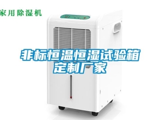 知識百科非標恒溫恒濕試驗箱定制廠家