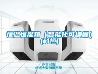知識百科恒溫恒濕箱（智能化可編程）(科恒)