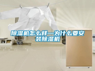 行業(yè)新聞除濕機(jī)怎么樣—為什么要安裝除濕機(jī)
