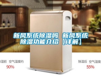 行業新聞新風系統除濕嗎 新風系統除濕功能介紹【詳解】