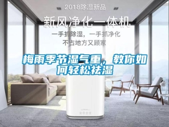 常見問題梅雨季節濕氣重，教你如何輕松祛濕