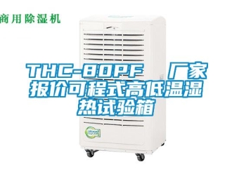 常見問題THC-80PF  廠家報價可程式高低溫濕熱試驗箱