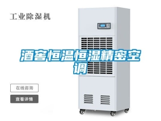 知識百科酒窖恒溫恒濕精密空調